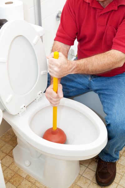 Toilet Plunging
